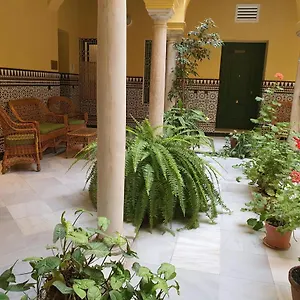 Centro Historico Solo Office Appartement